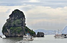 Seaplane flights give aerial view of Ha Long Bay 