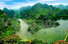 Ninh Binh seeks ways to promote tourism