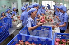 Food safety, hygiene vital to developing export markets 