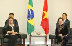 Brazil wishes to expand partnership with Vietnam 