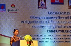 Vietnamese firms support Cambodian farmers 