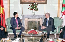 Vietnam, Algeria to build on long-standing friendship 