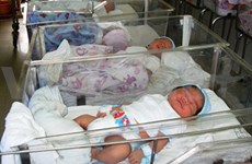 Birth rate in Hanoi drops, but still unstable 
