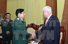 UN relevant agencies support Vietnam in peacekeeping mission 