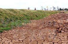 Binh Thuan: 714,000 USD to surmount water shortages 