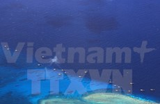 Vietnam attends 25th meeting of UNCLOS member nations 