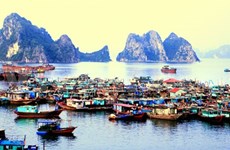Vietnam to address obvious solutions to foster tourism: official 