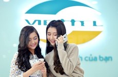 Telecommunications group Viettel rules domestic market 