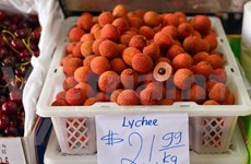 Vietnam lychee enters Australian market 