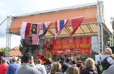 Vietnamese culture shines at regional festival in Czech Republic 