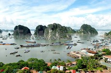 Vietnam promotes int’l arrivals through tourism portal 