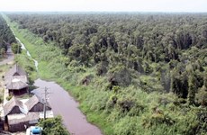 Conservation efforts in U Minh Ha National Park stepped up 