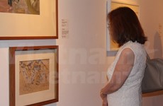 Artwork on Vietnam War on display in Singapore 