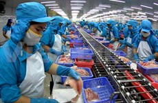 Vietnamese firms on tough path to conquer US market 