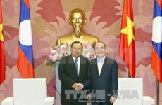 NA Chairman greets Lao Vice President 