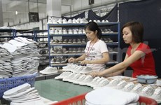 Vietnam pushes state-owned enterprise privatisation forwards 