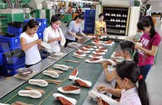 FTAs bear both opportunities and challenges for footwear sector 