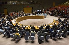 Vietnam’s contributions as a non-permanent member of UNSC