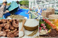 Vietnam’s agro-forestry-aquatic product exports hit record in 2022