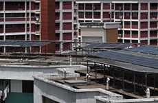 Singapore promotes clean energy development 