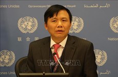 Vietnam shares development experience at UN session