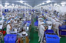 Binh Duong sees over 3,000 new firms in six months