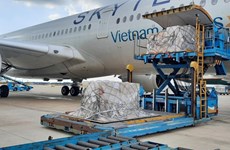 German-donated COVID-18 test kits arrive in Vietnam