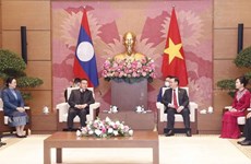 Top Vietnamese, Lao legislators hold talks