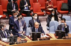 Vietnam makes valuable contributions in UNSC: UK Permanent Representative to UN