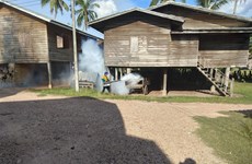 Dengue fever escalates in Laos