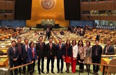 Vietnam wins international confidence: ambassador