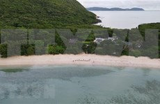Ba Ria – Vung Tau creates breakthroughs for sea, island tourism