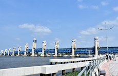 Saltwater intrusion worsens in Mekong Delta