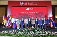 ASEAN seeks to reform decision making process