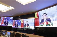 Top Vietnamese, Chinese legislators hold online talks