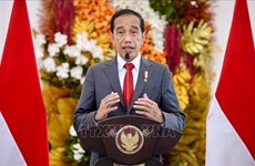 Indonesia backs promotion of 5-Point Consensus on Myanmar