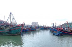 Khanh Hoa takes drastic measures against IUU fishing