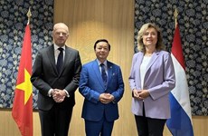 Deputy PM Tran Hong Ha pays working visit to Netherlands