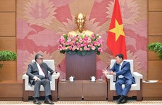 Vietnam treasures friendship, cooperation with Armenia: NA official