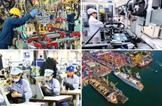 Vietnamese economy remains resilient despite weak external environment: ADB