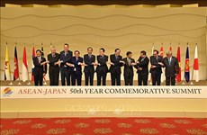 PM calls for stronger ASEAN-Japan cooperation