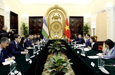 Vietnamese, Uzbek foreign ministers hold talks