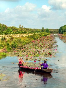 Eastern Mekong Delta enjoys tourism boom 