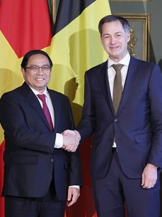 Vietnam - Belgium traditional friendship receives renewed support