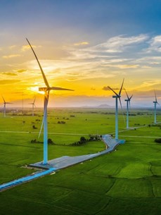 Securing a sustainable future via green transition