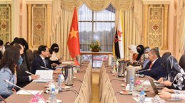 Vietnam Foreign Minister’s visit to Brunei opens up cooperation opportunities