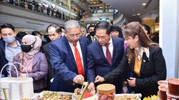 Vietnam-Brunei: comprehensive cooperation, long-term trust toward future