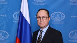 Vietnam makes impressive strides: Russian Ambassador