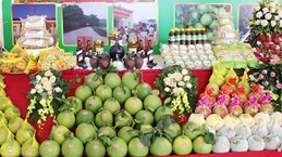 Bac Giang promotes high quality OCOP products