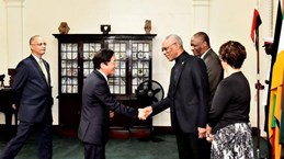 Diplomat: Vietnam wants to deepen cooperation with Guyana
